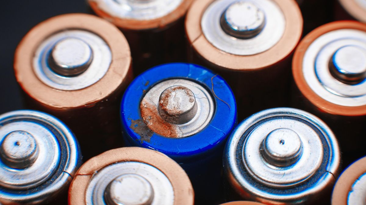 Žena dostala drakonickou pokutu za to, že z vyhozených hraček nevyndala baterky